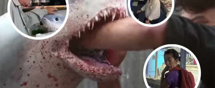 Cruel, Unusual And Awesomely Hilarious Shark Prank
