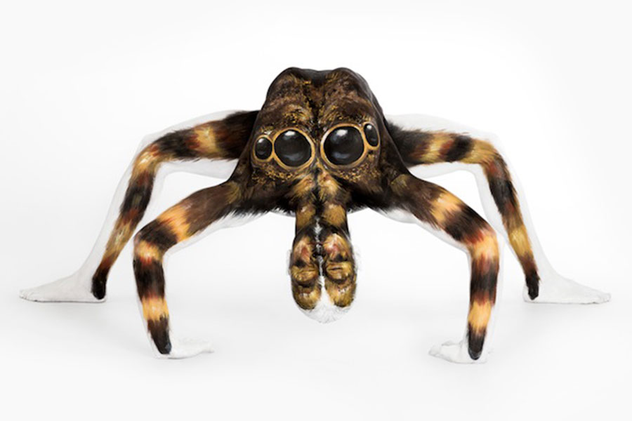 Body Art Spider